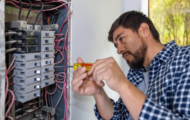 Best Electric Panel Repair  in Holmes Beach, FL